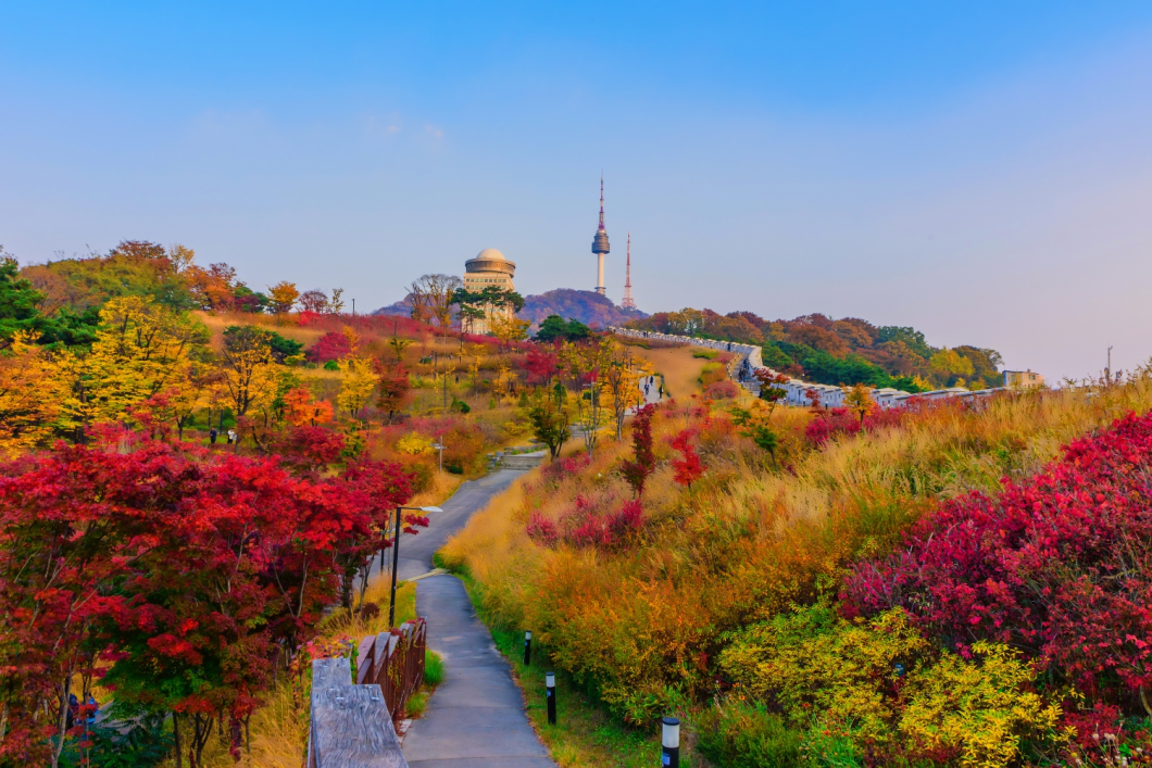 Du Lịch Hàn Quốc (Mùa Thu): Seoul - Nami - Everland - Tháp Namsan - Thư Viện Starfield