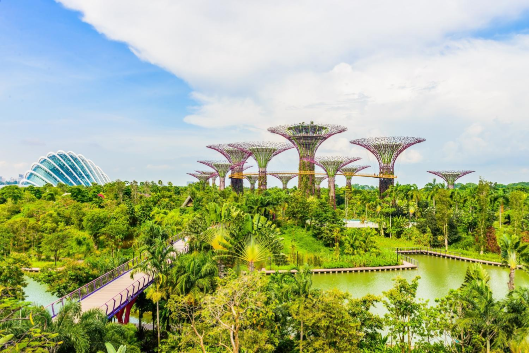 Tour MICE Singapore: Triển Lãm Pop Toy Show 2025