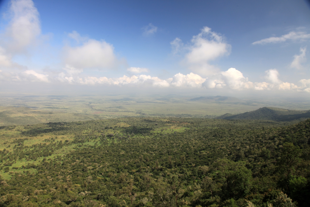 Du Lịch Đông Phi: Kenya - Tanzania - Mùa Đại Di Trú - Khoảnh Khắc Lịch Sử (Bay Hàng Không 5 Sao Qatar Airways)