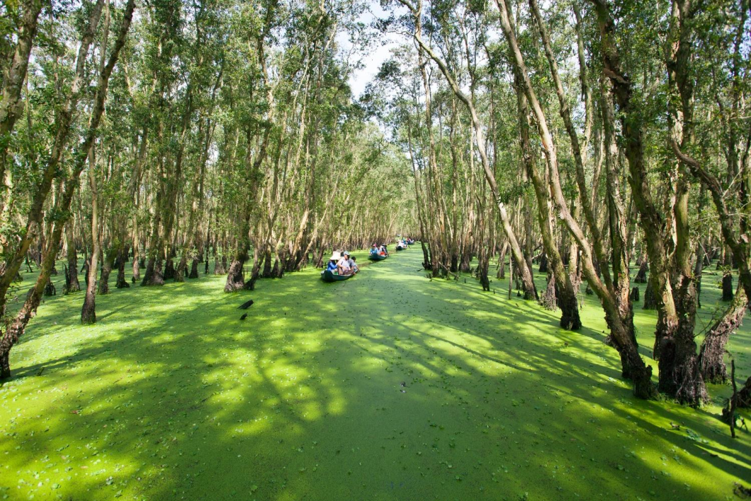 Du Lịch Miền Tây: Đồng Tháp - An Giang - Cần Thơ
