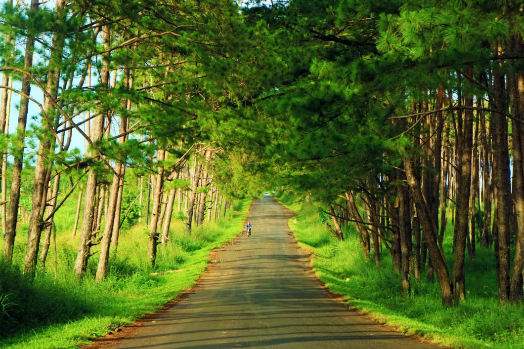 Du Lịch Tây Nguyên: Đắk Nông - Hồ Tà Đùng