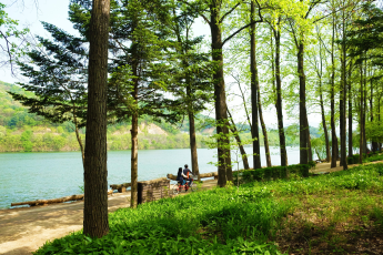 Du Lịch Hàn Quốc: Seoul - Nami - Everland - Thư Viện Starfield 5N4Đ
