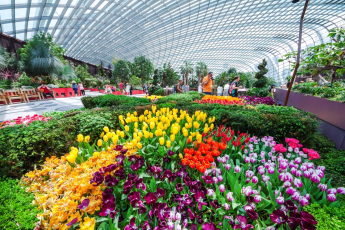 Du Lịch Singapore - Malaysia (Lễ 02/09): Hàng Không Vietnam Airlines - Gardens By The Bay - Batu - Genting - Trà Sườn Bak Kut Teh