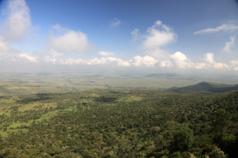 Du Lịch Đông Phi: Kenya - Tanzania - Mùa Đại Di Trú - Khoảnh Khắc Lịch Sử (Bay Hàng Không 5 Sao Qatar Airways)