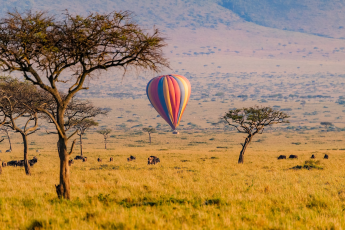 Du Lịch Đông Phi: Kenya - Tanzania - Mùa Đại Di Trú - Khoảnh Khắc Lịch Sử (Bay Hàng Không 5 Sao Qatar Airways)