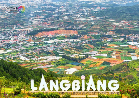 Bỏ túi những kinh nghiệm du lịch Đà Lạt siêu chi tiết từ A đến Z