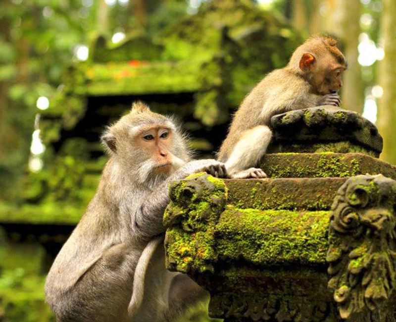 Mạng bán tour du lịch trực tuyến hàng đầu tại Việt Nam | BenThanh Tourist