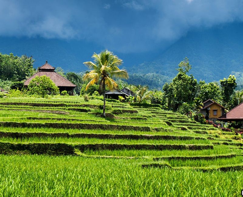 Mạng bán tour du lịch trực tuyến hàng đầu tại Việt Nam | BenThanh Tourist