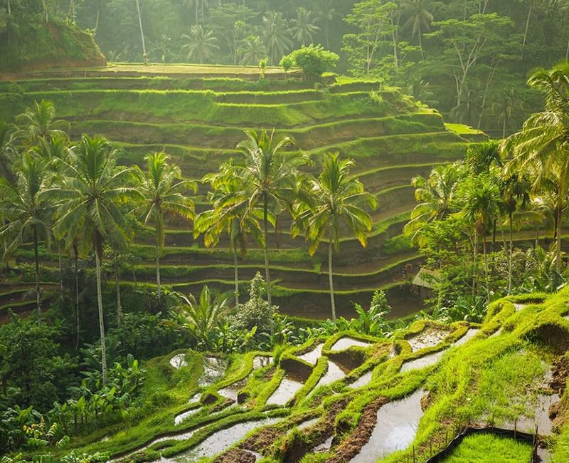 Mạng bán tour du lịch trực tuyến hàng đầu tại Việt Nam | BenThanh Tourist