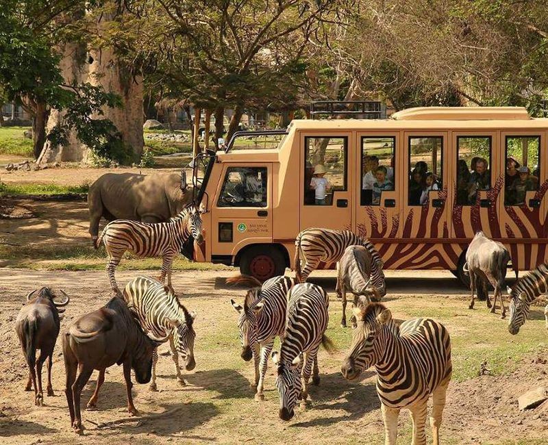 Mạng bán tour du lịch trực tuyến hàng đầu tại Việt Nam | BenThanh Tourist