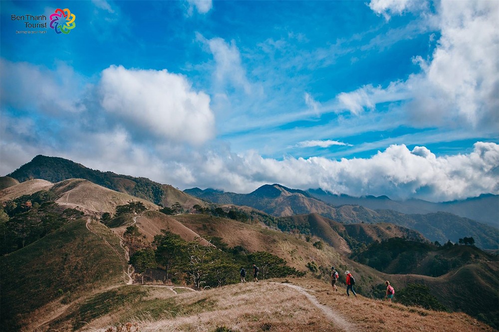 Mạng bán tour du lịch trực tuyến hàng đầu tại Việt Nam | BenThanh Tourist