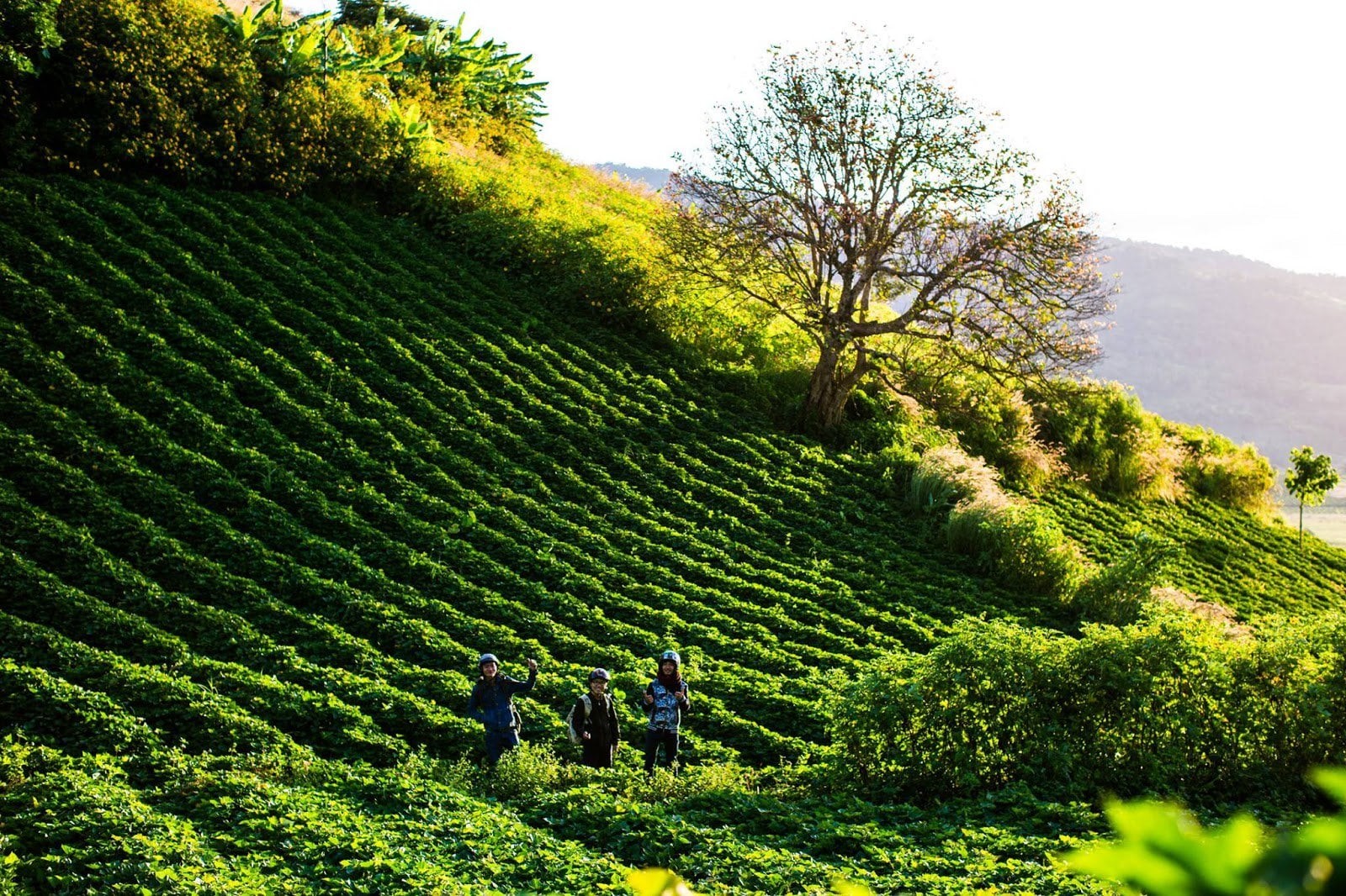 Mạng bán tour du lịch trực tuyến hàng đầu tại Việt Nam | BenThanh Tourist