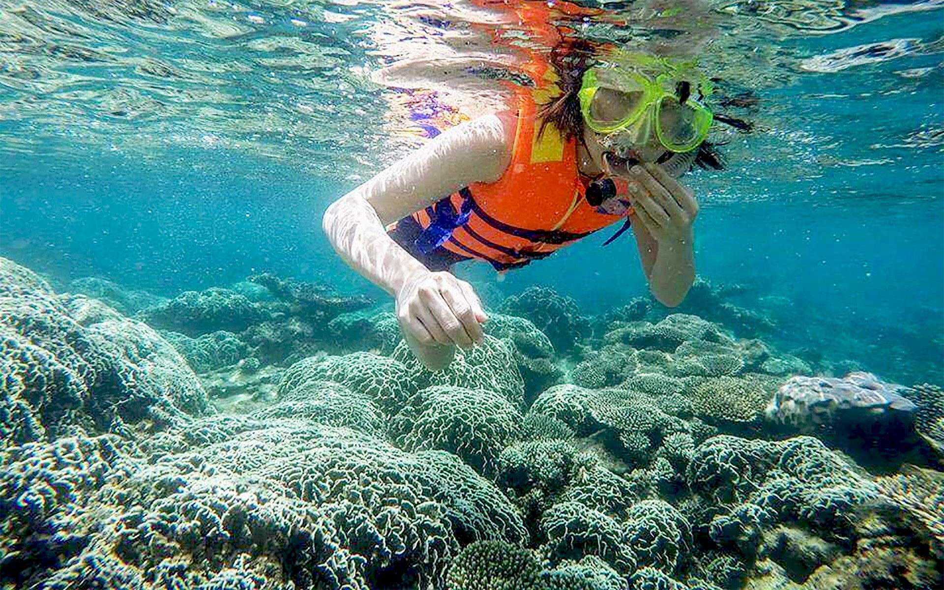 Mạng bán tour du lịch trực tuyến hàng đầu tại Việt Nam | BenThanh Tourist