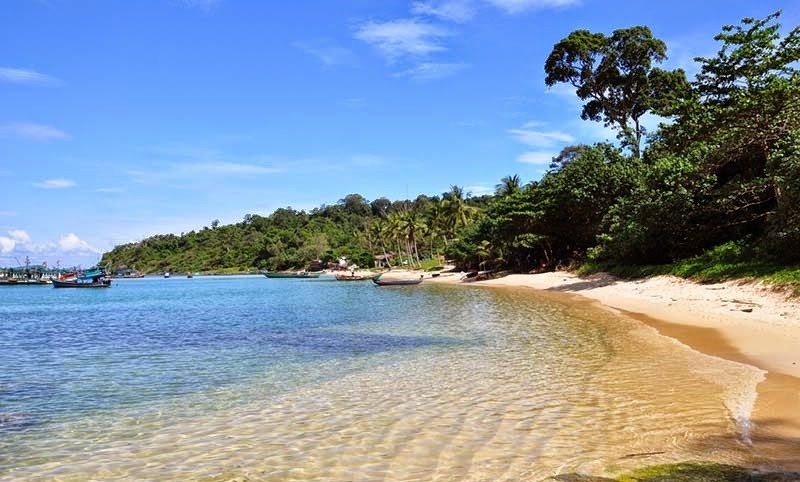 mui-ganh-dau