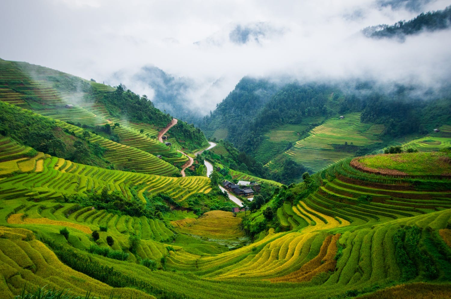 mu-cang-chai