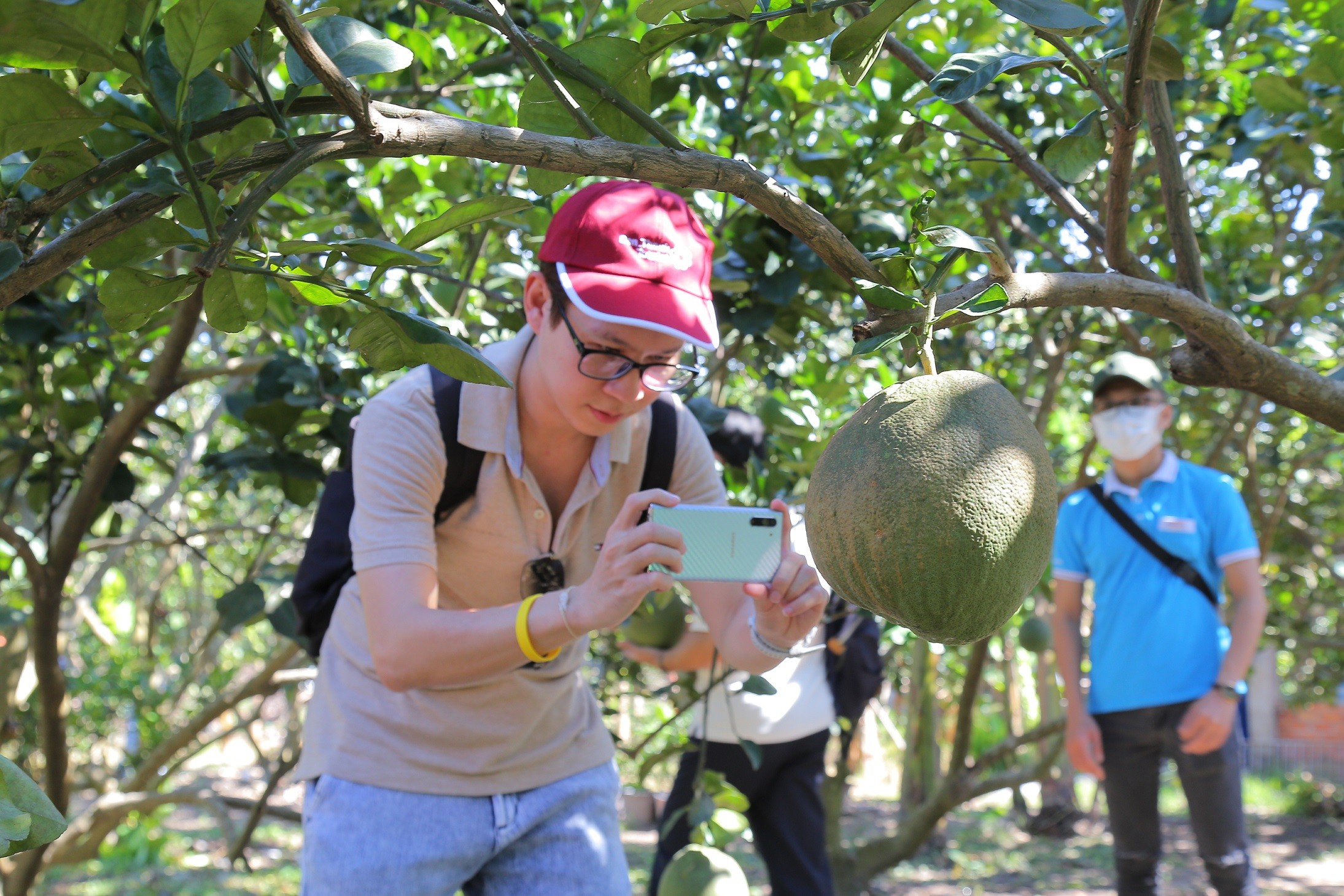 Mạng bán tour du lịch trực tuyến hàng đầu tại Việt Nam | BenThanh Tourist