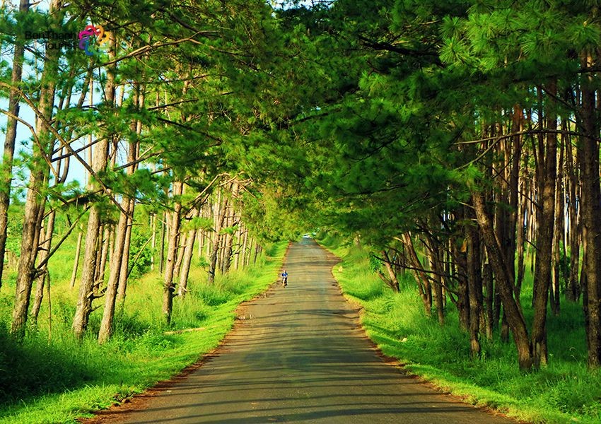 Mạng bán tour du lịch trực tuyến hàng đầu tại Việt Nam | BenThanh Tourist