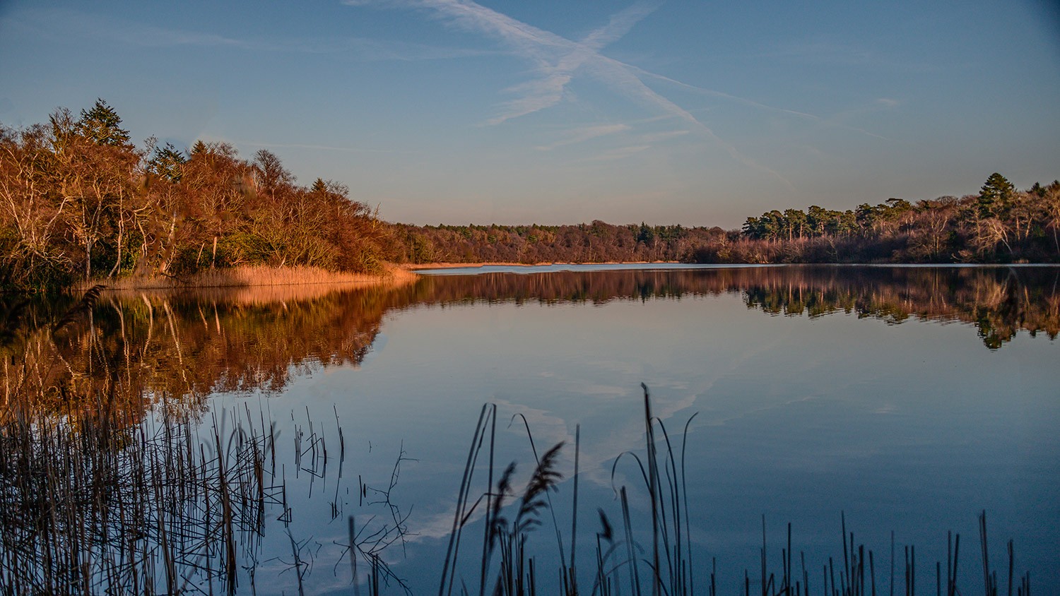 Fritton Lake