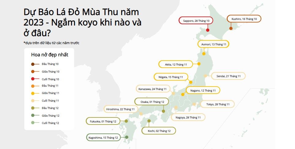 Mạng bán tour du lịch trực tuyến hàng đầu tại Việt Nam | BenThanh Tourist